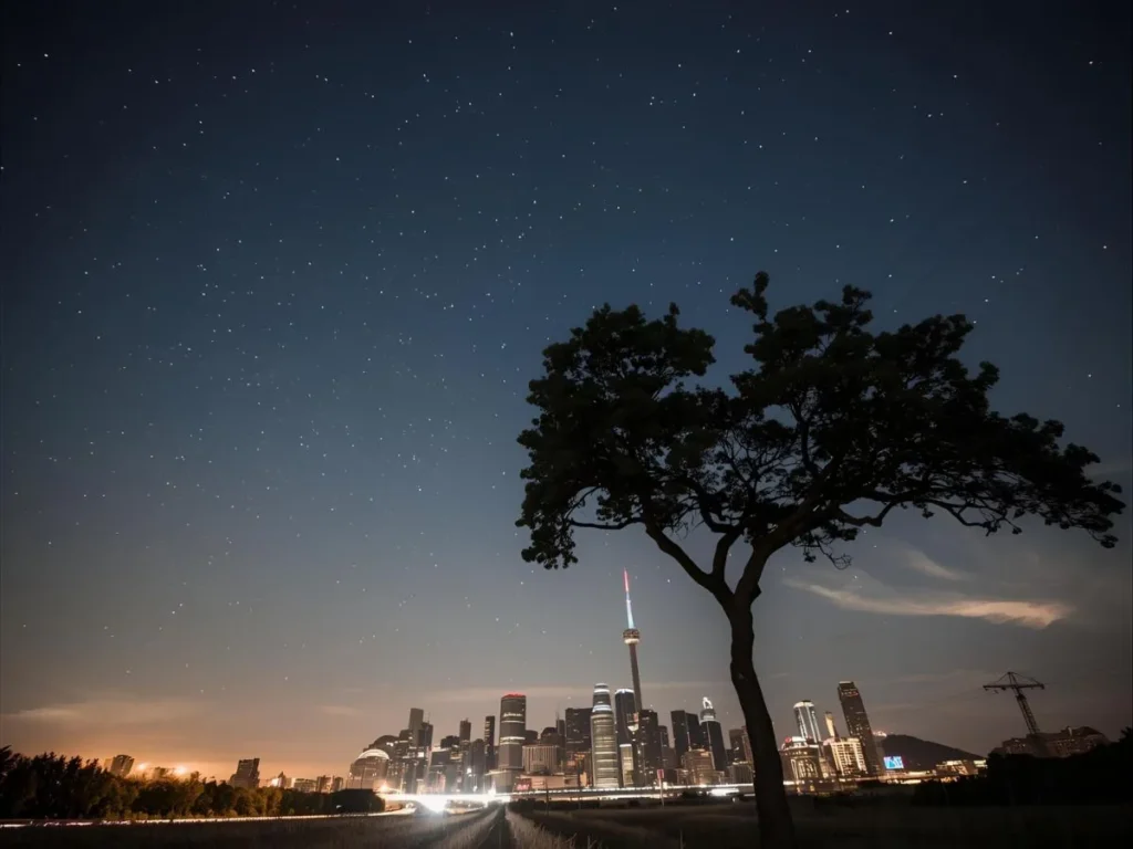 Night Time Routine for Success
