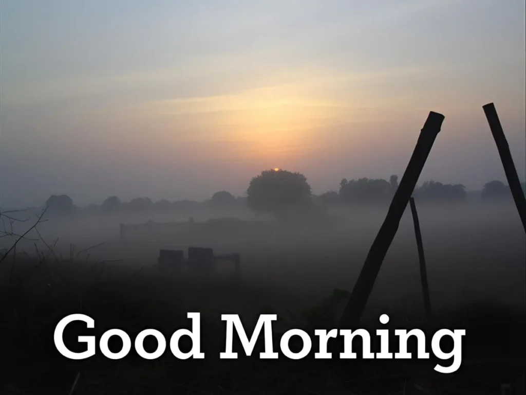 Today Special Good Morning Images