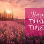 Happy Tuesday Wishes