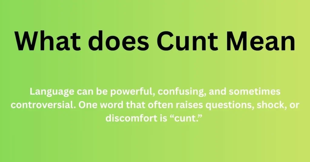 What Does Cunt Mean