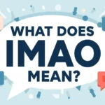 What Does IMAO Mean