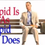Stupid is as Stupid Does Meaning