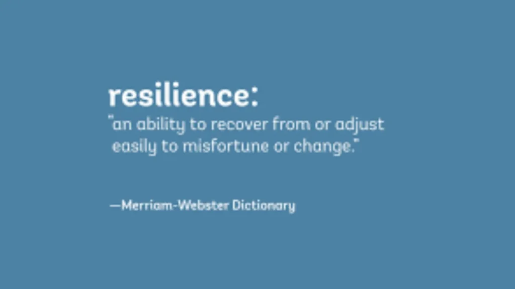 what does resilience mean