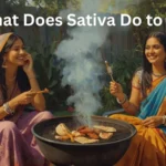 What Does Sativa Do to You