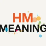 HM Meaning