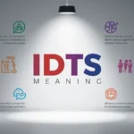 IDTS Meaning